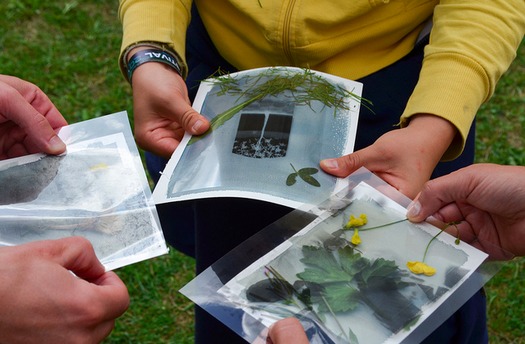 Joachim Robert Cyanotype workshop at FP2012